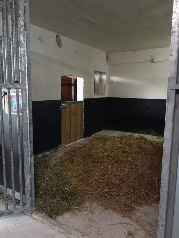 Stallungen und Rundgang