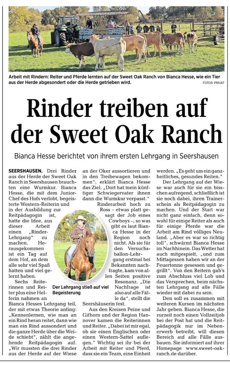 Rinder treiben auf der Sweet Oak Ranch - Zeitungsartikel