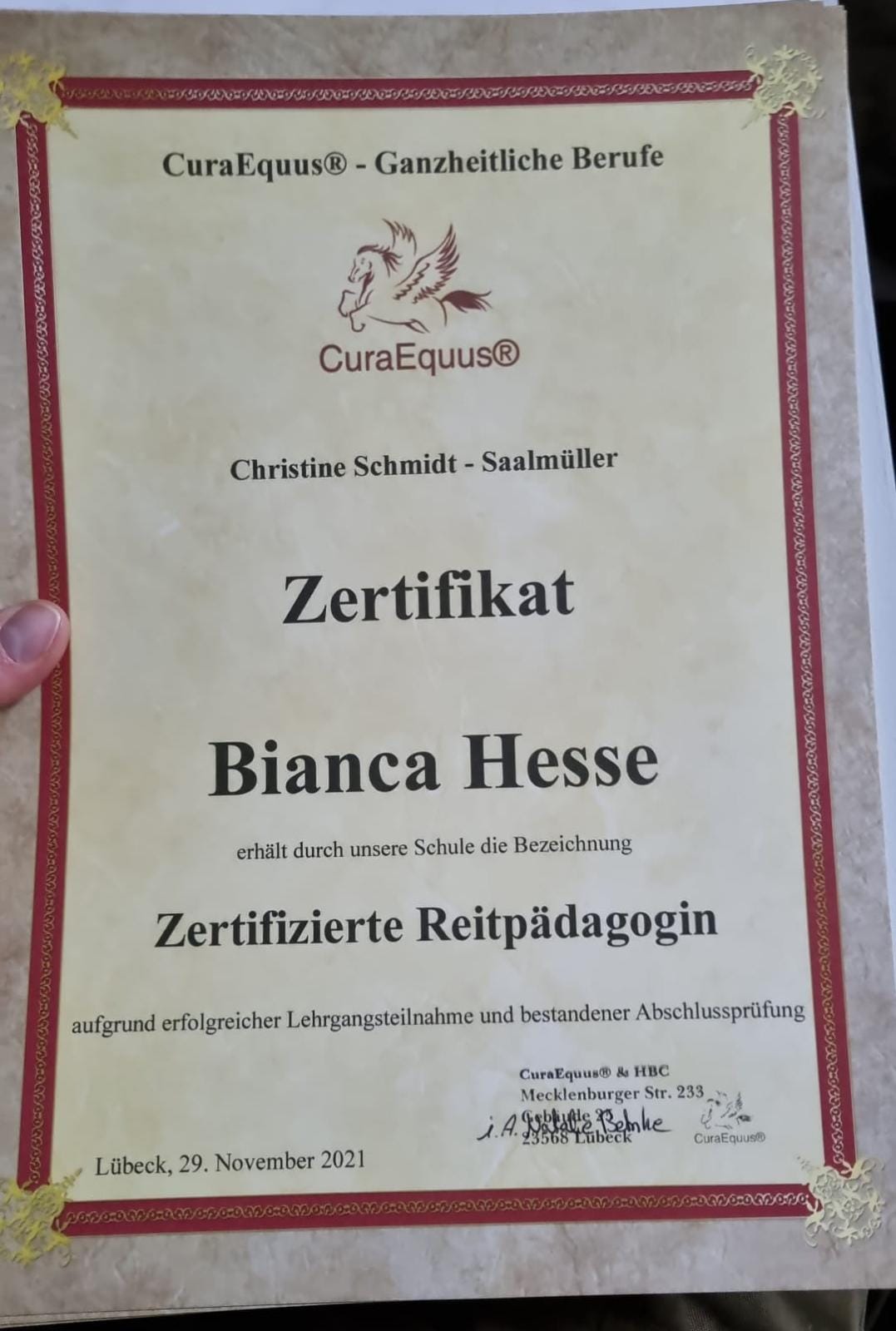Reitunterricht Zertifikat