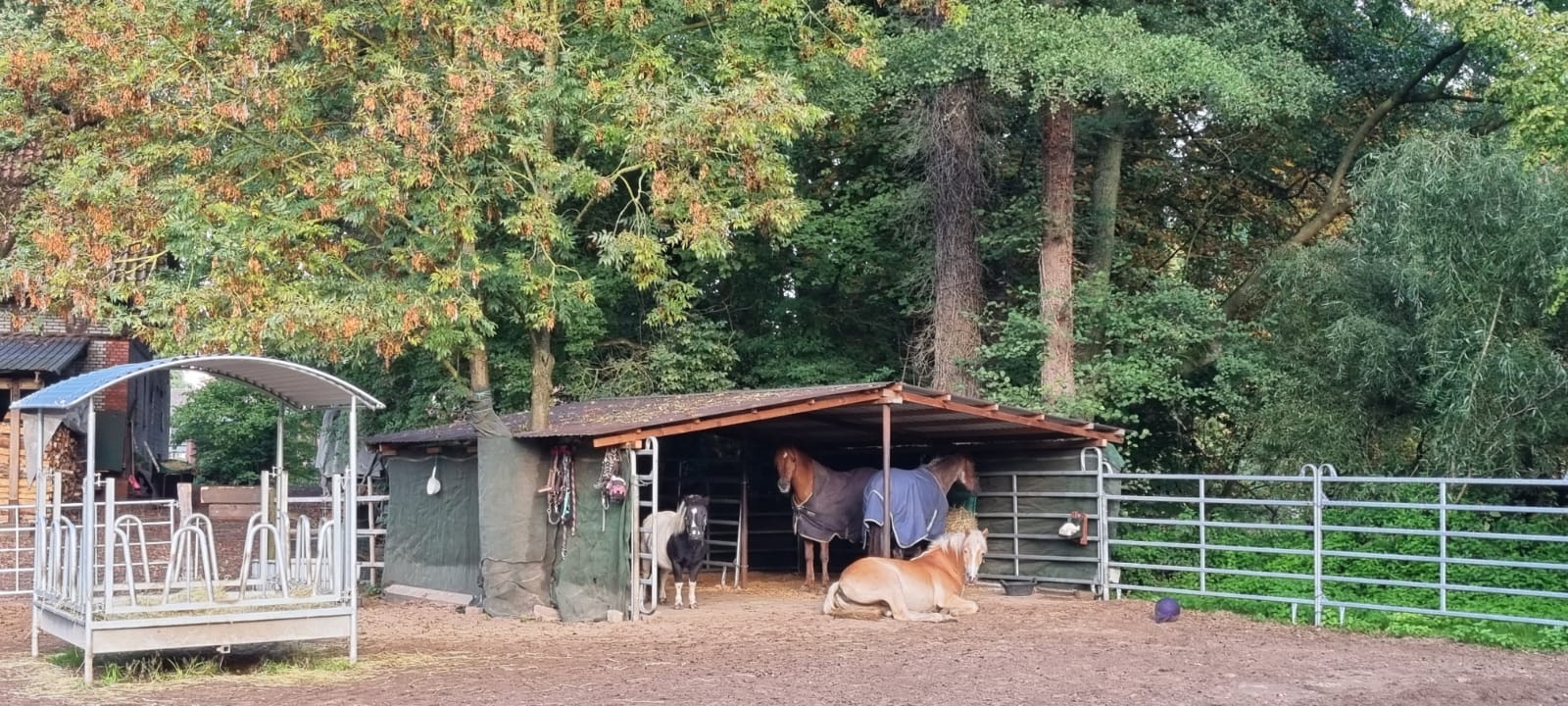 Stallungen und Rundgang