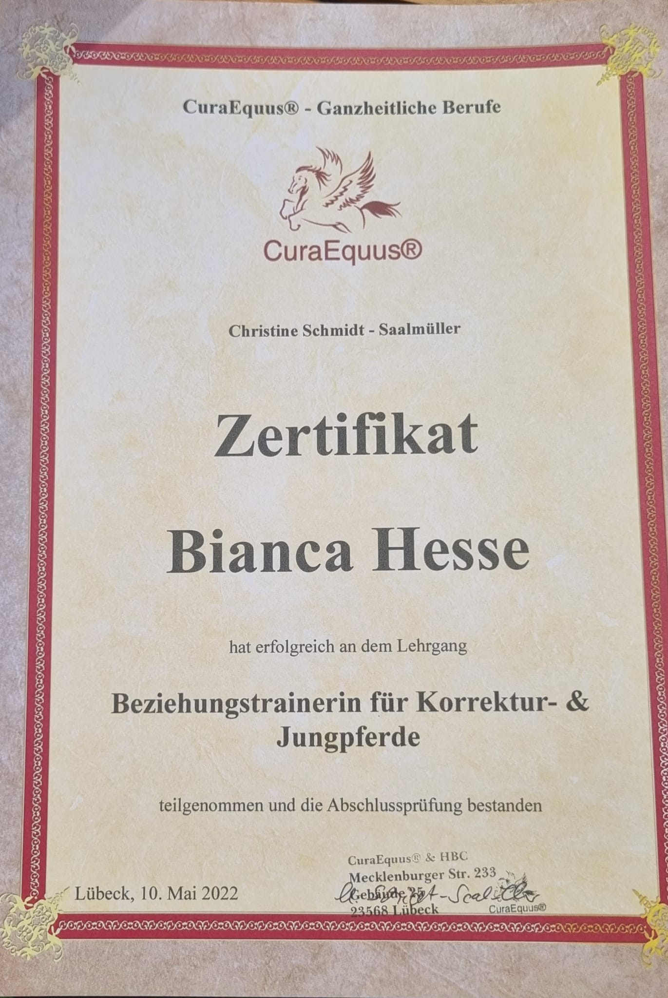 Reitunterricht Zertifikat