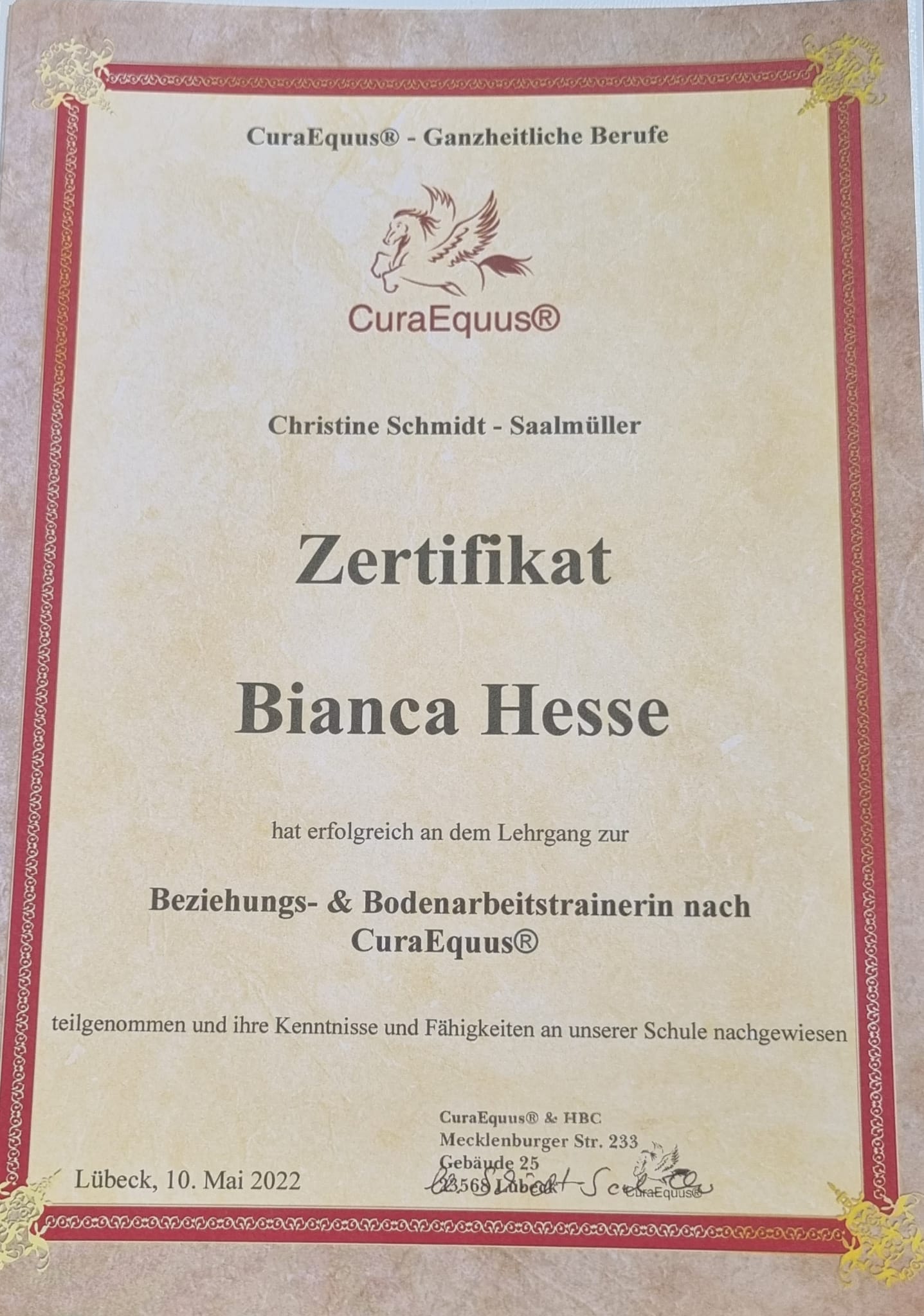 Reitunterricht Zertifikat