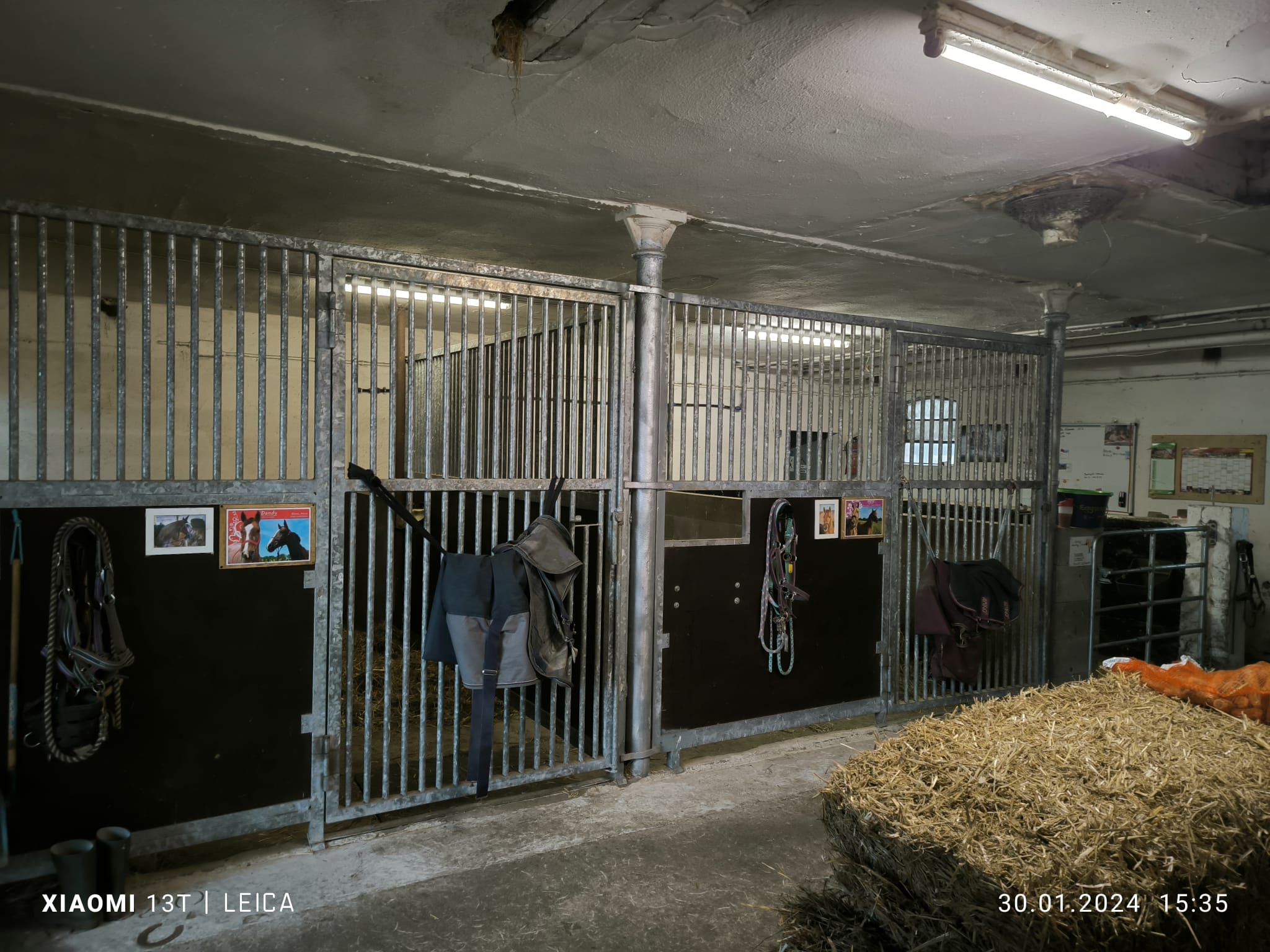 Stallungen und Rundgang